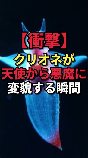 【衝撃】クリオネが天使から悪魔に変貌する瞬間 #動物 #雑学 #shorts # #雑学図鑑 #クリオネ #トリビア
