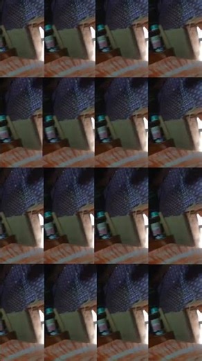 Viral Song This Video