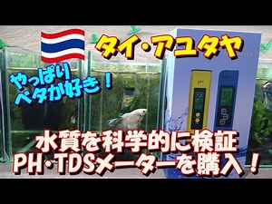 【ベタ飼育 176】水道水やベタの飼育水の水質を科学的に検証してみよう！ PHメーターとTDS&ECメーターを購入してみました！ これで少しはベタの不調の原因が分かるかも？