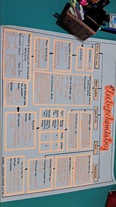 NCERT Class 12 Chemistry Chapter 3 – Electrochemistry | important notes for class 12th