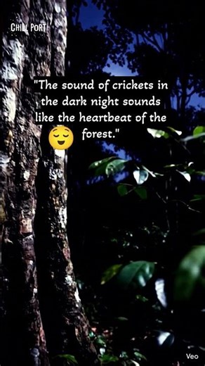 The sound of crickets🦗#ambientmusic #deeprelaxingsounds #forestsounds #focusmusic #calmmusic #4k