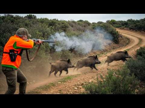 Hunting Wild Boar -Season :2026 || -MOROCCO - PART 12