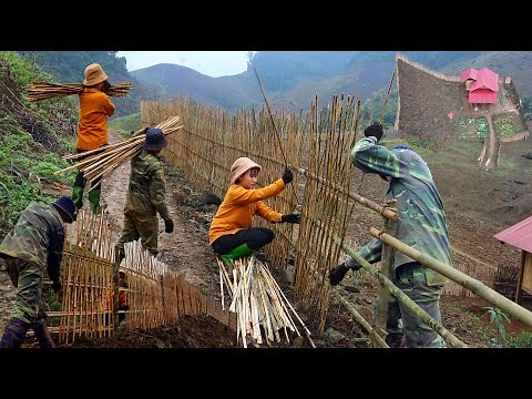 Building a new life Ep.76 | make a bamboo fence around the wooden house | live with nature