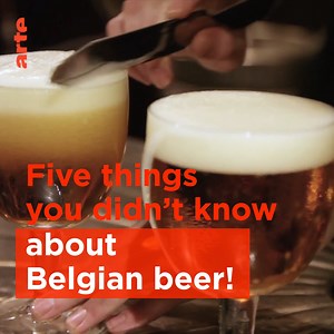 4K views · 47 reactions | Belgium is celebrated for the variety and quality of its famous beers. But did you know that they used to give it to school children?  Check out our film about beer & Belgium here:  ⬇️ https://www.arte.tv/en/videos/103137-003-A/belgium-beer-paradise/ | Arte | Facebook