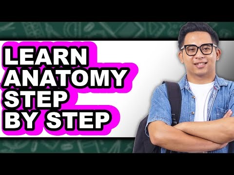 How to Learn Anatomy Step by Step - Full Guide