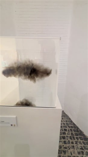 #artedigital #pinturas #museo #portugal🇵🇹viral #pyfツviral_ 🏛️ Hospital Centro Vivo 📍 Ubicación Plaza Minayo, 2, 06002 Badajoz 📞 Contacto Teléfono: 924 47 86 87 Oficina de Información Turística: 924 212 555 Email: elhospital@dip-badajoz.es 🏛️ Sobre el edificio El edificio es el antiguo Hospital de San Sebastián, también conocido como Hospital Provincial de Badajoz. Está catalogado como arquitectura singular con carácter monumental y forma parte del patrimonio histórico y cultural de Extrema