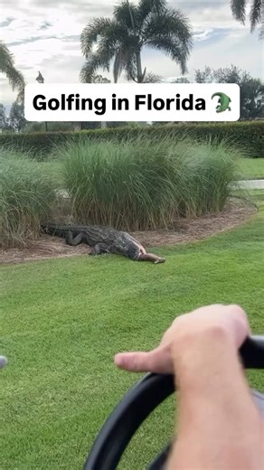 The truth about golfing in Florida. Viewer discretion is advised. | Green Industry Podcast with Paul Jamison