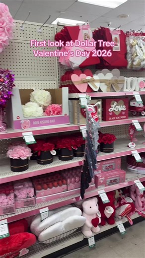 VALENTINE’S DAY AT DOLLAR TREE ❤️💕💌 #dollartree #valentinesday #dollartreevalentinesday #firstlook