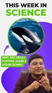 Why Are Orcas Flipping Sharks Upside Down?