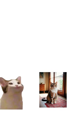 просто коты /pop-cat