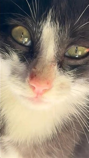 A New Crew Member #shorts #shortsfeed