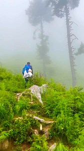 track to shalkho sar ❤️ | Maxar photography