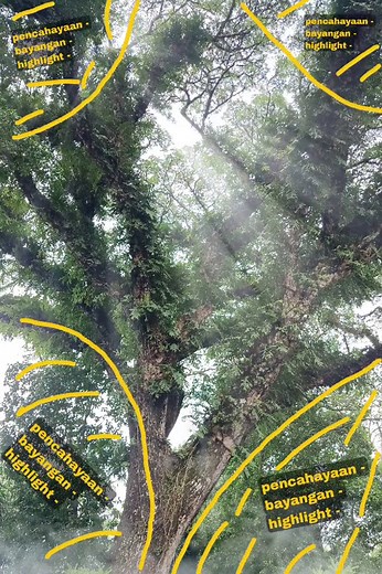 Tutorial Masking di Lightroom: Cara Edit Foto Estetik