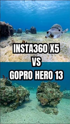 Scuba Cam Comparison-GoPro Hero 13 VS Insta360 X5 #scubadiving #insta360x5 #goprohero13