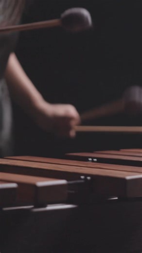 You can now watch VF artist Ji Hye Jung’s full performance of Molly Herron’s piece “Wildling” on our YouTube channel using the link in the comments! ⚒️ M113,114,115 and the M132 for the pitch bending. | Vic Firth