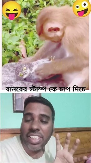 owl vs monkey #funny #comedy
