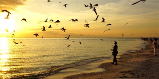 Sarasota County Fire Department offers Spring Break Safety Tips