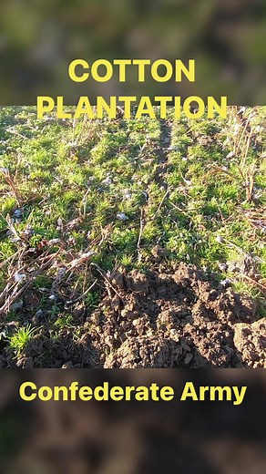 11K views · 498 reactions | Cotton Plantation gives up its secrets. Evidence of confederate army there. #history #civilwar #DidYouKnow | History Seekers | Facebook