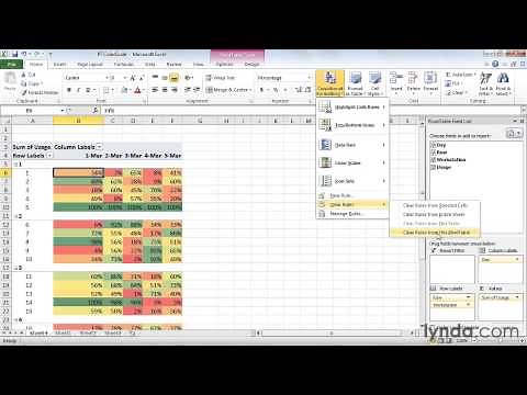 0504 Formatting PivotTable cells using color scales