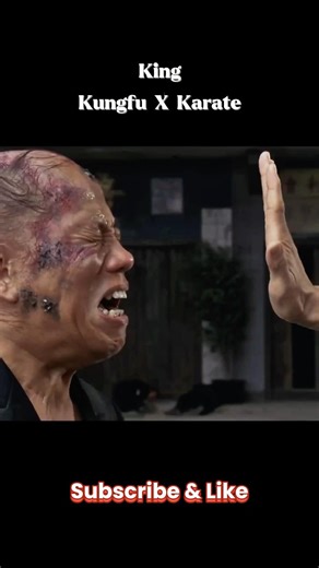 King Kung Fu Vs King Karate #shorts