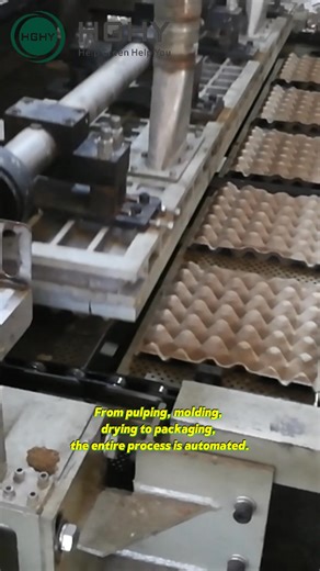 In the Algerian market, stable and efficient production is key to success. The HGHY rotary drum egg tray production line will help you: 1. Improve production efficiency and expand market share. 2. Reduce operating costs and enhance business competitiveness. 3. Achieve rapid return on investment and move towards sustainable development. #eggtraymachine #eggtraymakingmachine #agriculturalmachinery #pulpmolding #pulpmoldingmachine | HGHY-PulpMolding