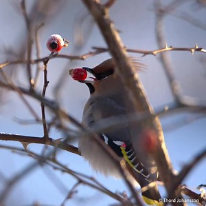 Here are this week's top #EarthCapture images! Thank you to everyone who is part of our growing community. Continue to share your passion via the BBC Earth Instagram page 💚 | BBC Earth