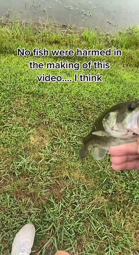 Respectful North Carolina Backflip Fishing Release