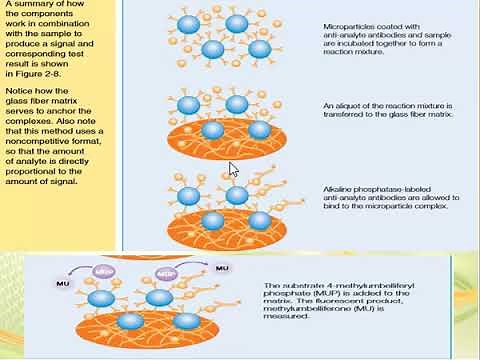 Microparticle Enzyme Immunoassay (MEIA)