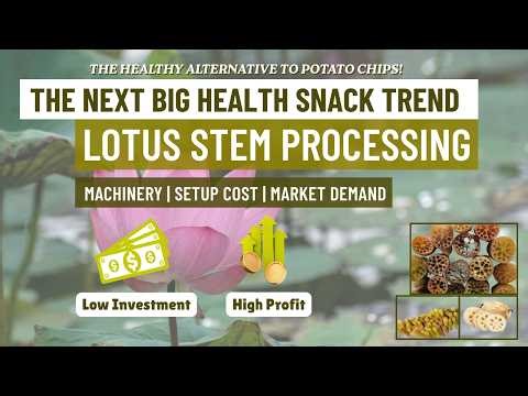 How to Start a Lotus Stem Chips Manufacturing Business ? - Next Big Health Snack Trend