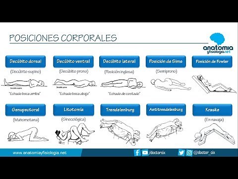 BODY POSITIONS || Anatomy and Physiology Summaries