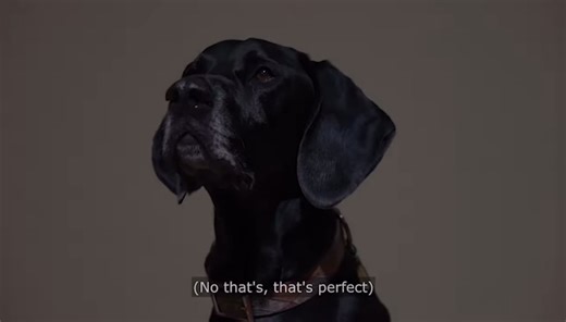 TODAY, March 30 & 31, we're bringing the 2024 New York Dog Film...