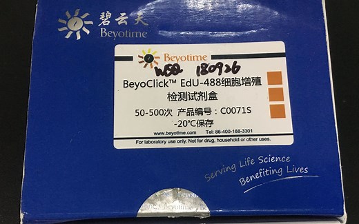 碧云天edu试剂盒测细胞增殖