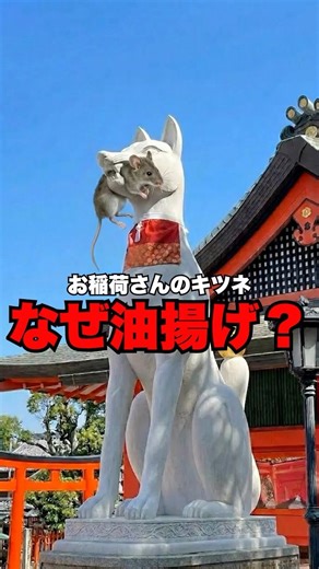 【お稲荷さん】お稲荷さん＝油揚げ、その理由知ってます？ #神社 #スピリチュアル #神様