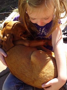 11M views · 694K reactions | This will be the the sweetest thing you see all week!!!! This little girl fell in love with her new rescue dog, Oakley, that her family had just adopted. As she rocked Oakley in her arms,she sang him a lullaby that quickly put him to sleep. | iHeartDogs | Facebook