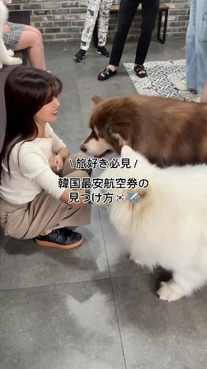 韓国最安航空券の撮り方🇰🇷✈️ 使うのは「スカイスキャナー」🔍 LCCを含め航空会社や旅行代理店の航空券を 一気に比較できるから航空券取るならココ一択☑︎ 私みたいにフリーランスで日程自由に組める人は 最安値で滞在期間決めるのも🙆‍♀️私はいつもそうしてる！ もちろん日付指定もできて決められた日程での 最安値を探すのも凄く簡単✨ 注意⚠️ 航空会社や代理店によって預け荷物なしの値段で 表示されていることがあるから必ず予約する前に確認してね！ ちなみに私は少しの金額の差だったら航空会社から 直接取るようにしてます！その方が万が一トラブルが あった時に対応してくれる可能性が高いです🙆‍♀️ 是非ご参考までに✈️✨ #韓国旅行 #渡韓情報 #航空券安く取る方法 #航空券取り方