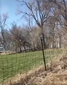 97K views · 2.7K reactions | You don’t have to be the fastest. You just have to be faster than the city boys. | Yee Yee Apparel | Facebook