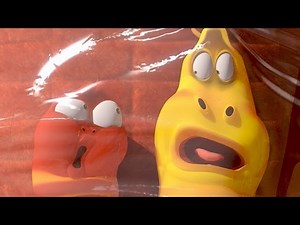 LARVA | WRAP | Cartoons For Children | LARVA Full Episodes | Cartoons For Children - Videos For Kids