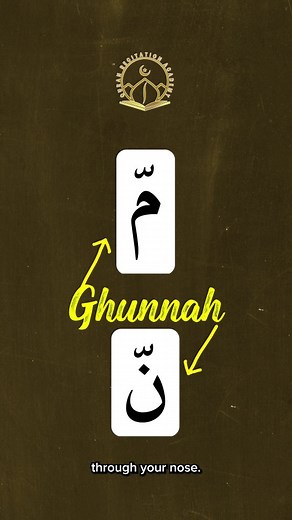 Want to master Tajweed but don’t know where to start? There are 12 core rules every reciter must know to recite the Qur’an correctly and beautifully. But most people: ❌ Learn bits and pieces randomly ❌ Get overwhelmed by the Arabic terms ❌ Or never get past the basics From Ikhfā’, Idghām, Qalqalah, Madd, Ghunna and more — these aren’t “nice to know”… They’re must-knows if you want your recitation to be accurate and pleasing to Allah ﷻ. ✅ That’s why we created the 14-Day Tajweed Mastery Course Sh