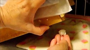 78K views · 512 reactions | Slow Loris | Pictures | Facebook