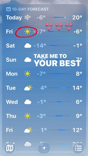 Exploding Trees: A Shocking Summer Experience