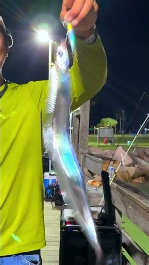 Stainless Steel Fish Looks Strange but Tastes AMAZING 🤯🐟