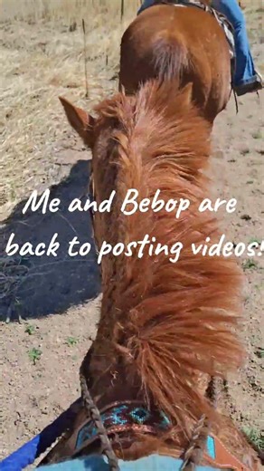 im back !