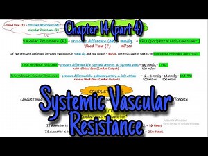 Systemic vascular resistance. Chapter 14 - part 4. Guyton and Hall Physiology lectures.