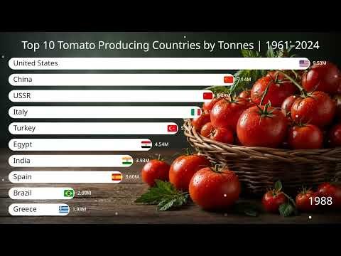 Top 10 tomato producing countries by tonnes 1961 2024