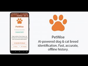 🐾 PetWise - AI-Powered Pet Breed Identifier | Identify Your Dog & Cat Breeds Instantly!