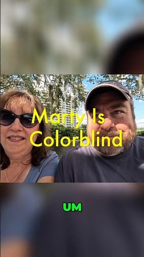 Disney World Monorail Colors: How Many Are There?