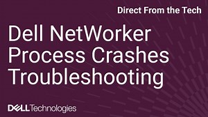 NetWorker Troubleshooting Guide: Process Crashes and Core Dumps