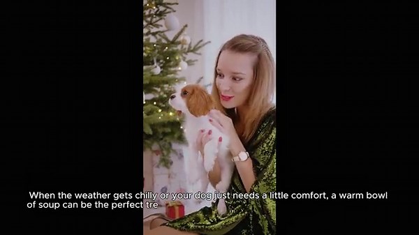 5 Vet-Approved Soups and Broths for Dogs