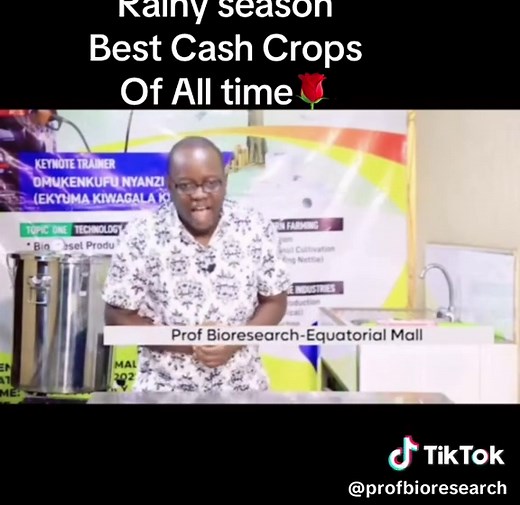 Prof Bioresearch official (@profbioresearch) - Best Cash crops # Prof bioresearch# Emboozi z’omukenkufu# Equatorial mall