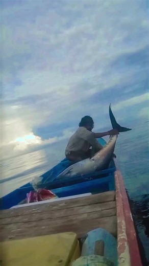 Monster Tuna Fishing Adventure in Maluku